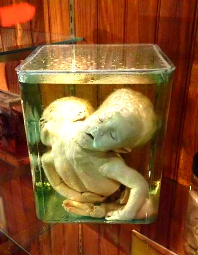 费城马特博物馆(费城马特博物馆开放时间)