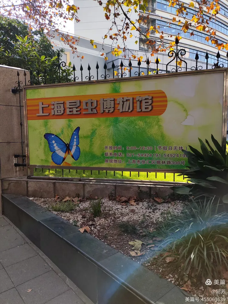 上海昆虫博物馆(上海昆虫博物馆在哪)