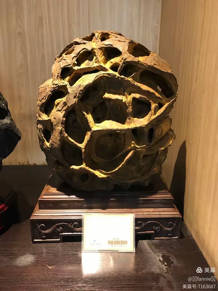 森晖自然博物馆(森晖自然博物馆在哪里)