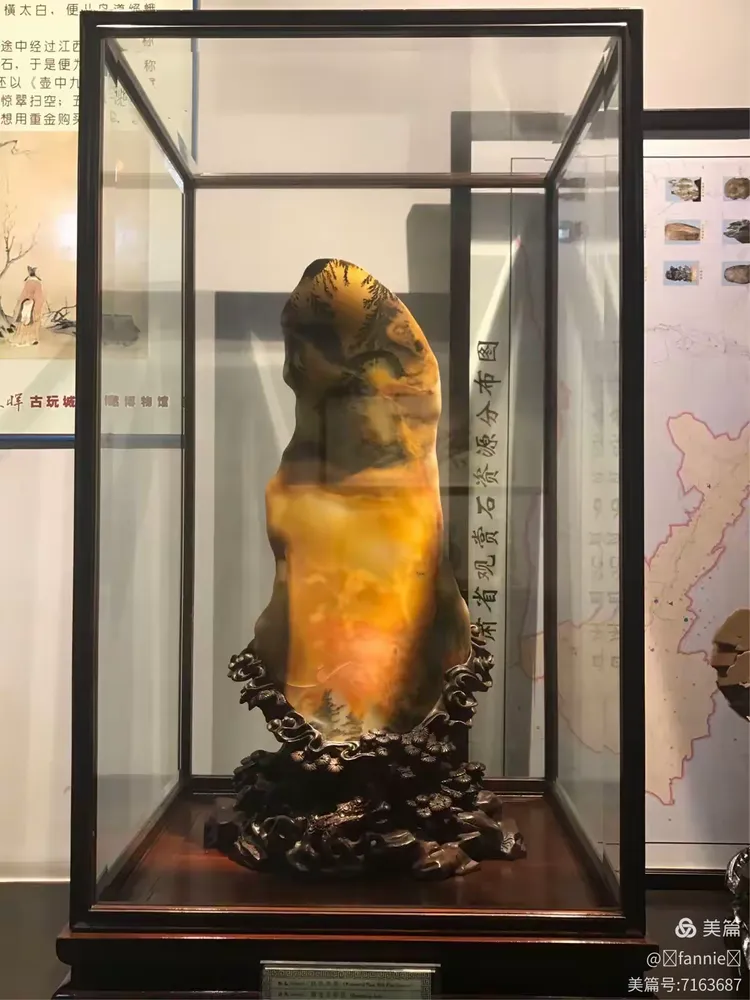 森晖自然博物馆(森晖自然博物馆在哪里) 森晖自然博物馆(森晖自然博物馆在哪里)