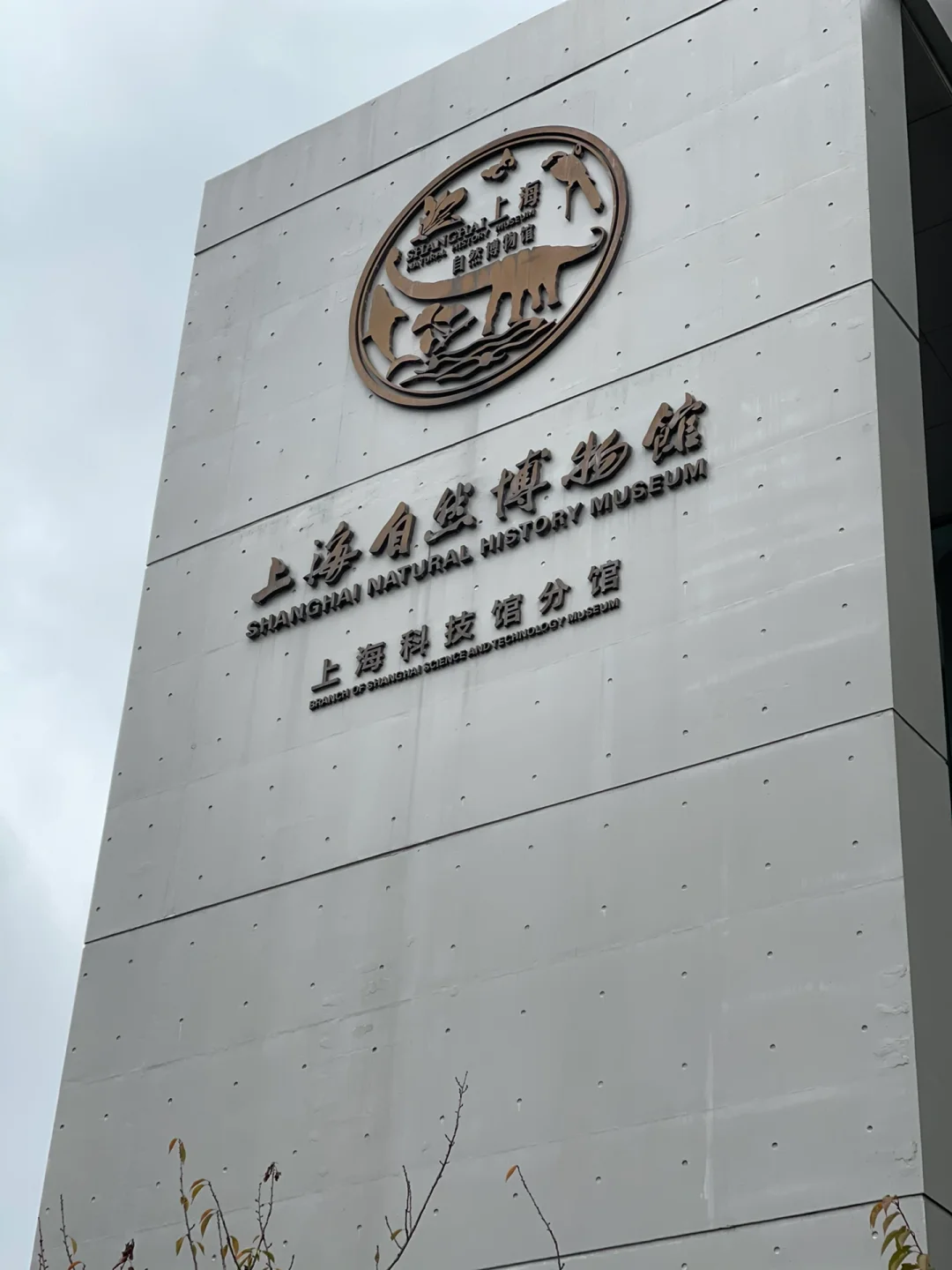 上海自然博物馆新馆(上海自然博物馆新馆生命长河展区 的马门溪龙化石)