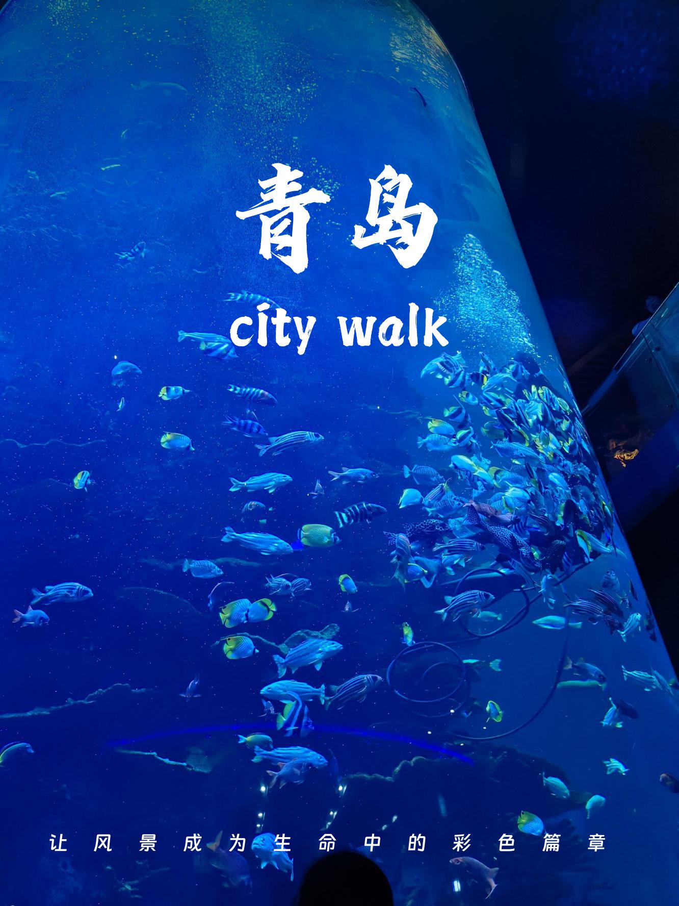 青岛海底世界游玩攻略(青岛海底世界的门票价格) 青岛海底世界游玩攻略(青岛海底世界的门票价格)
