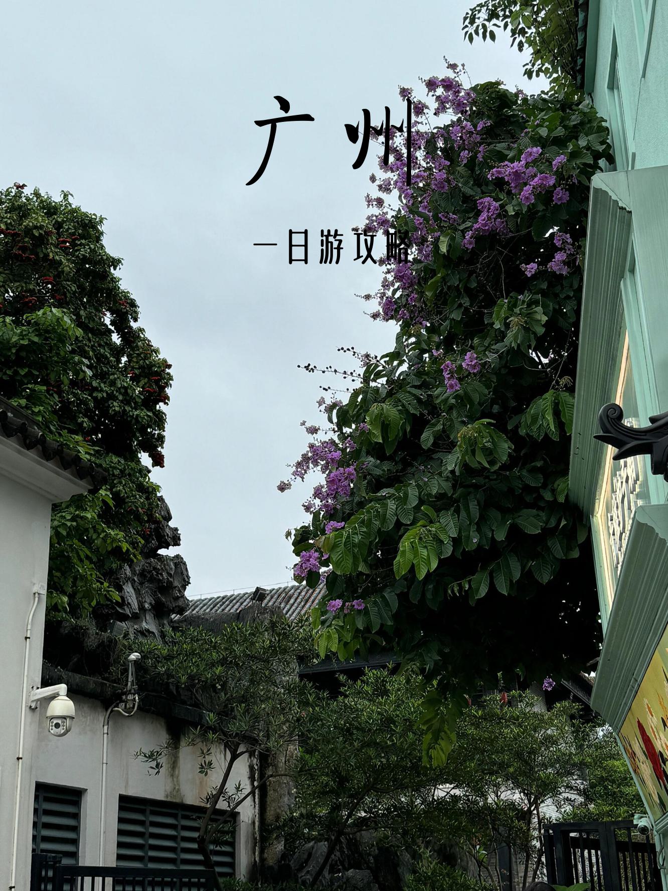 广州一日游最佳景点(广州一日游最佳景点路线推荐)