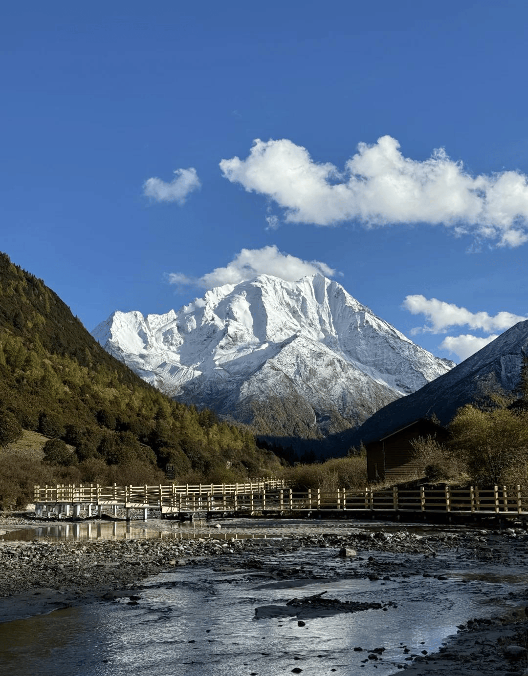 四川九寨沟旅游攻略(四川九寨沟旅游攻略必去景点) 四川九寨沟旅游攻略(四川九寨沟旅游攻略必去景点)