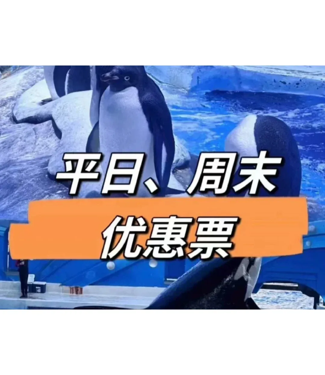 上海海昌海洋公园门票(上海海昌海洋公园门票价格) 上海海昌海洋公园门票(上海海昌海洋公园门票价格)