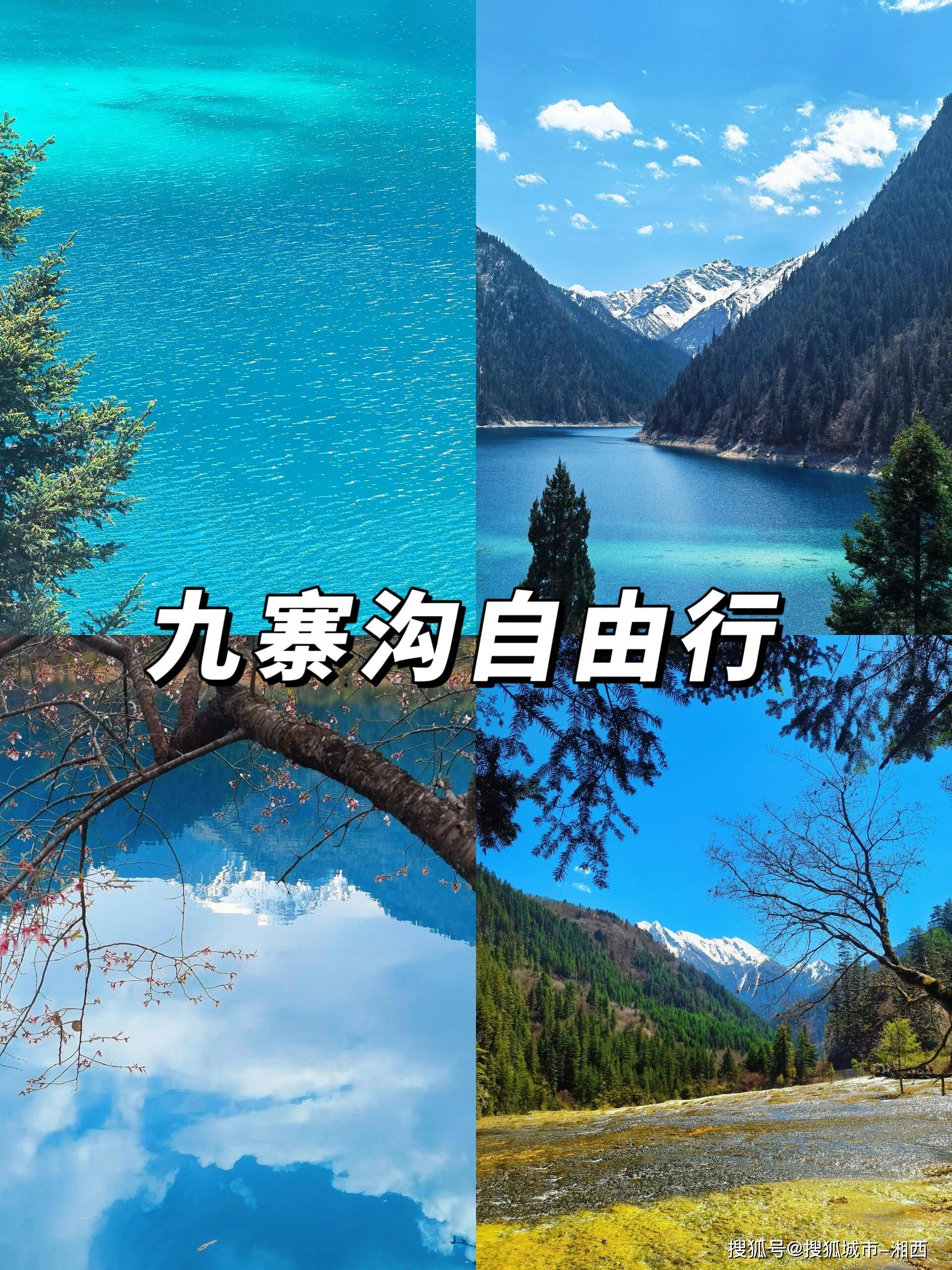 四川旅游攻略自由行攻略(四川旅游攻略自由行攻略免费)