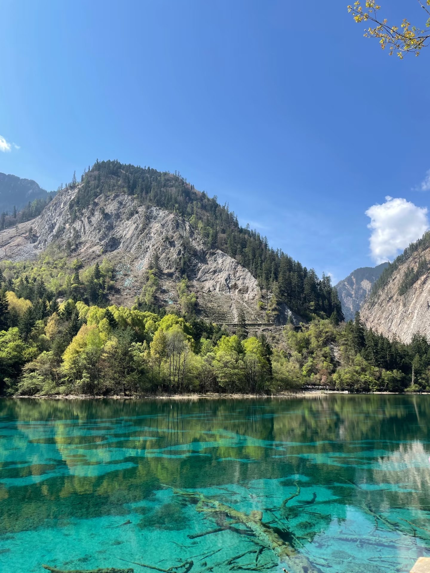 九寨沟旅游景点(丹东小九寨沟旅游景点)