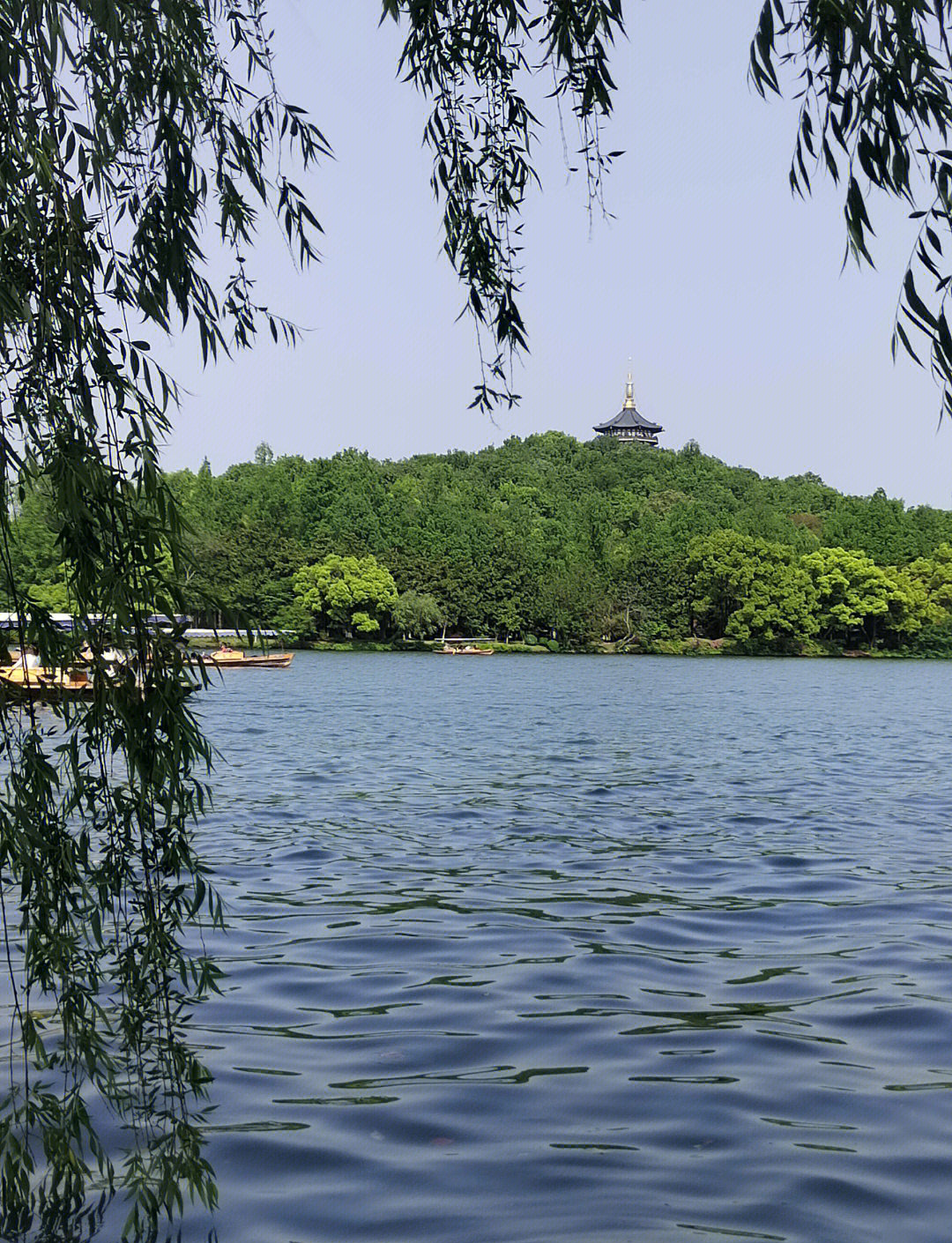 杭州一日游必去景点(杭州一日游必去景点推荐)