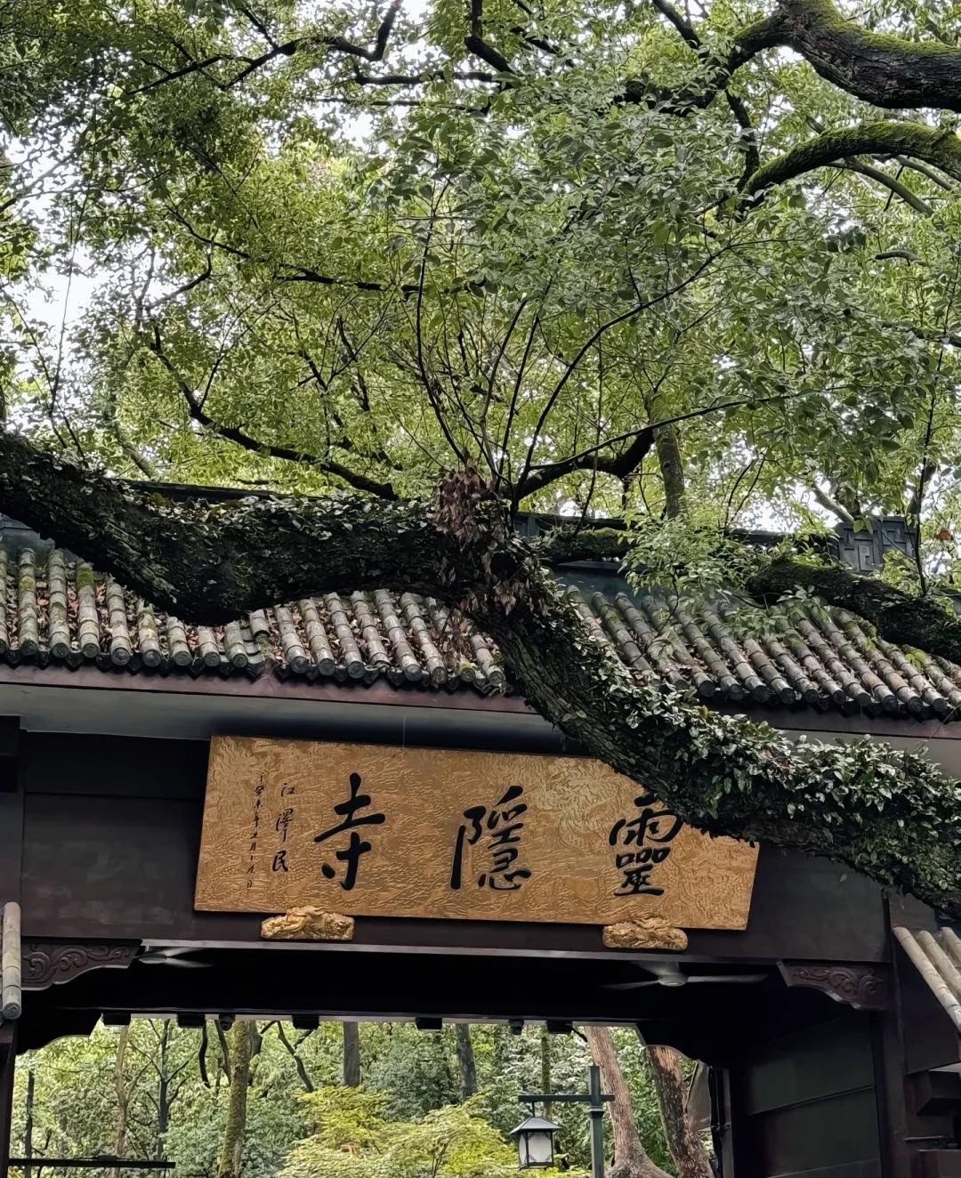 杭州一日游必去景点(杭州一日游必去景点推荐) 杭州一日游必去景点(杭州一日游必去景点推荐)