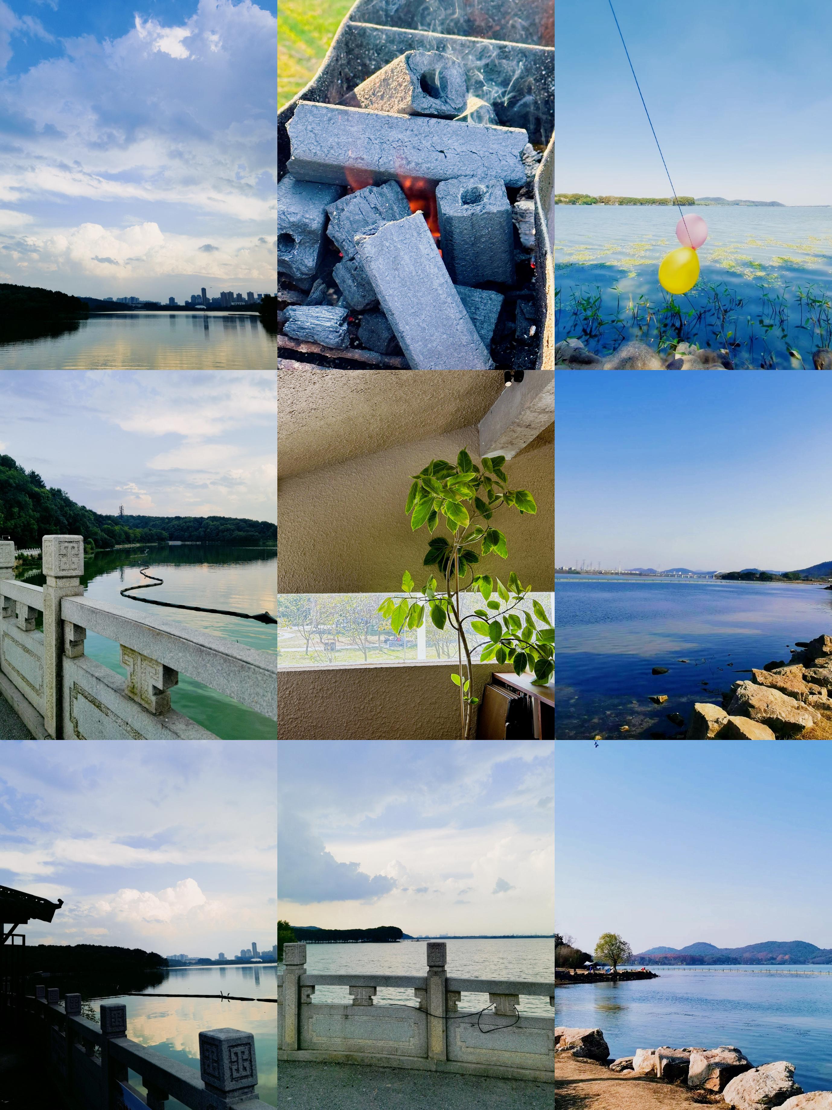 东湖港一日游攻略(东湖港风景区门票价格)