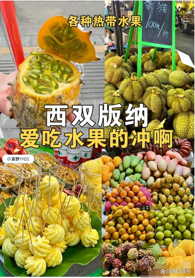 西双版纳几月份去最好(西双版纳几月份去最好天气)