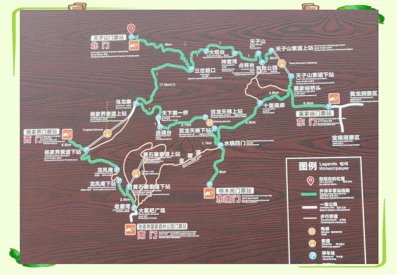 张家界攻略(张家界攻略最佳旅游攻略)