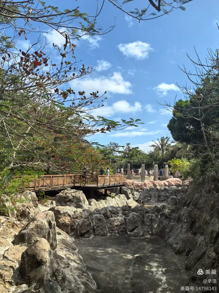 亚龙湾热带天堂森林公园(亚龙湾热带天堂森林公园门票)