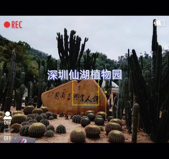 深圳仙湖植物园攻略(深圳仙湖植物园游玩路线) 深圳仙湖植物园攻略(深圳仙湖植物园游玩路线)