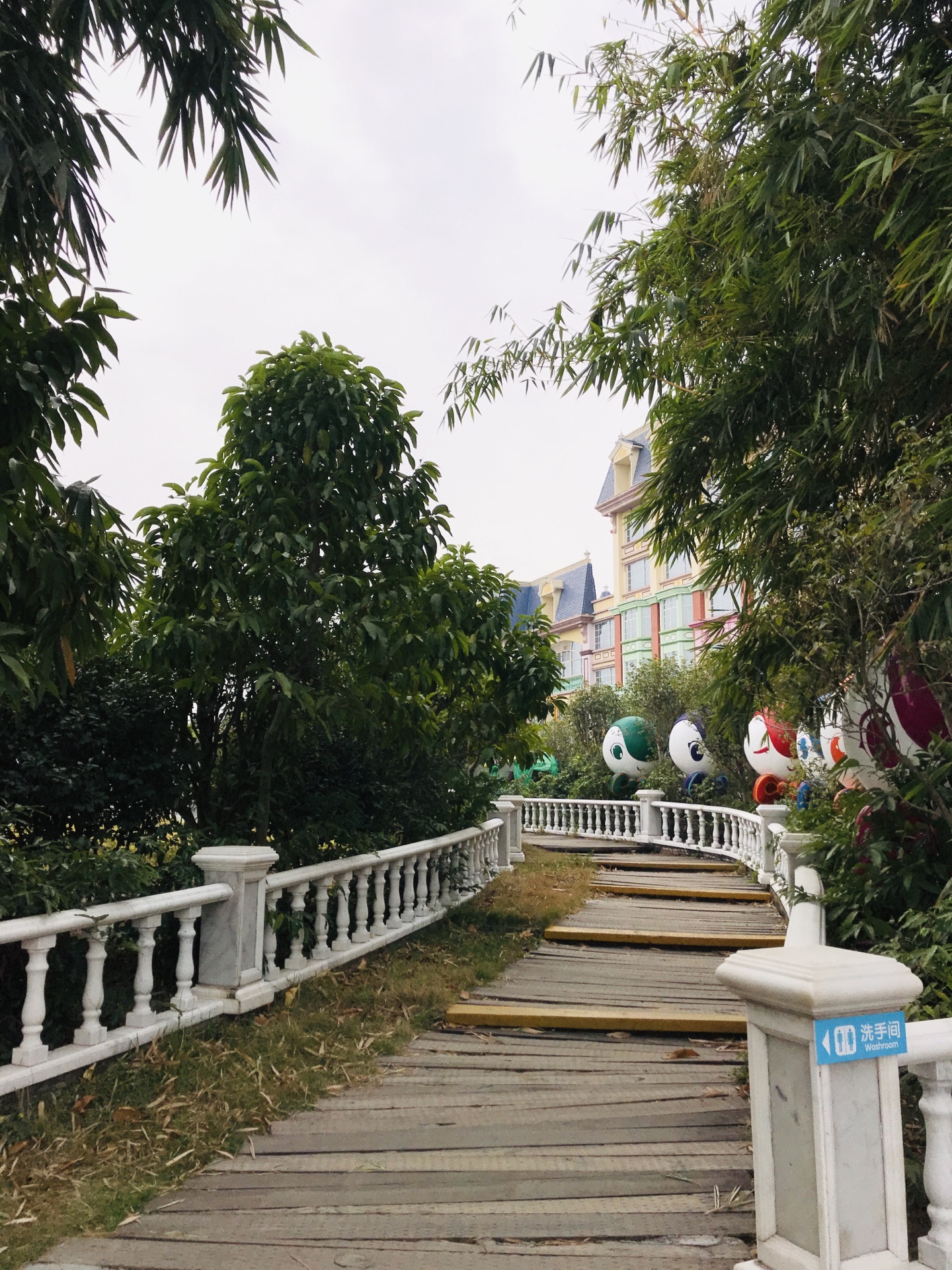 百万葵园旅游攻略(百万葵园最新门票价)