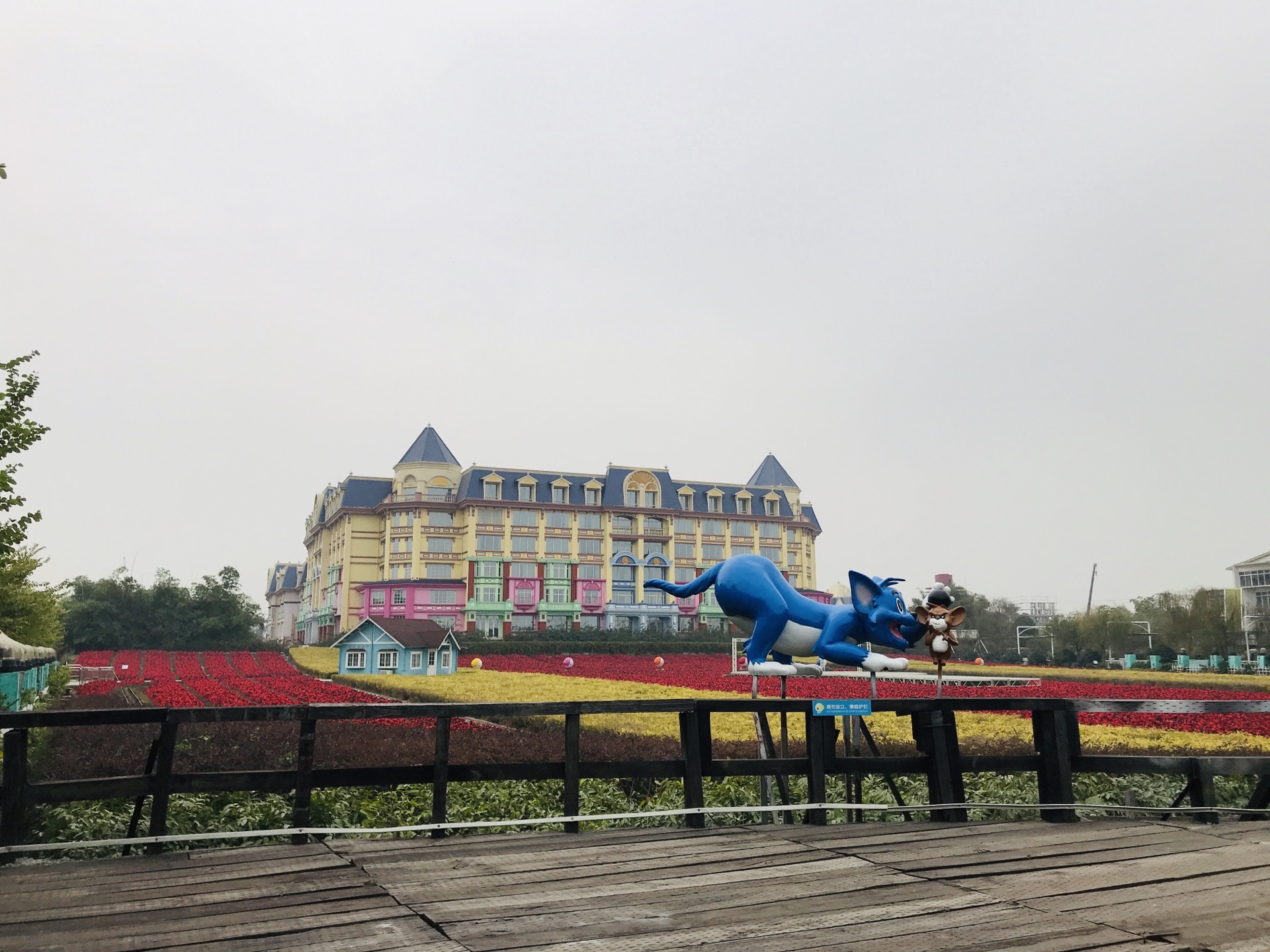 百万葵园旅游攻略(百万葵园最新门票价)